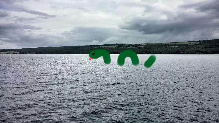 wp-1408439411545 image