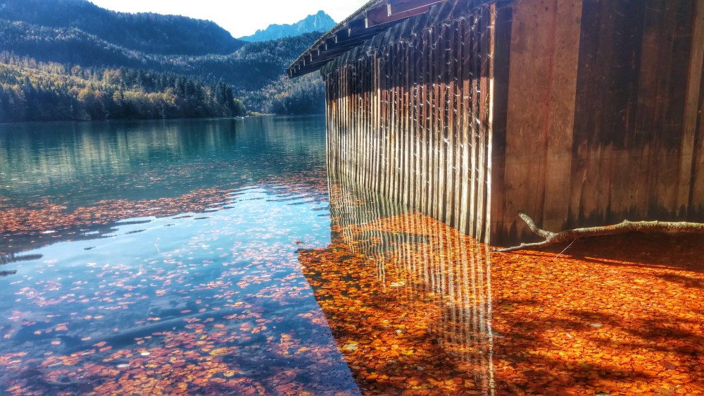 20141018_124245_HDR~2