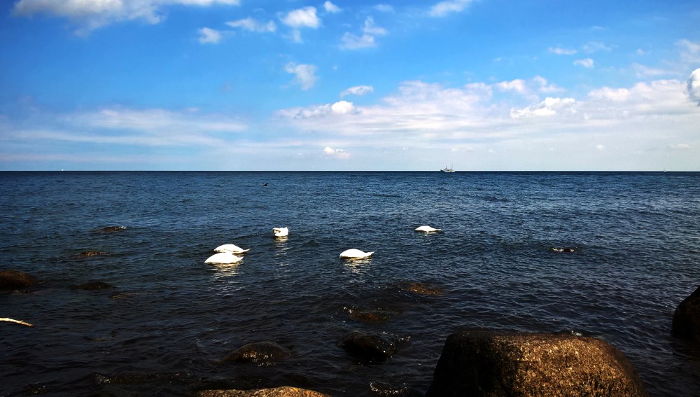 WP_20150721_13_38_18_Pro